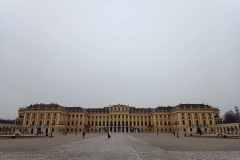 IMG_20240209_085043