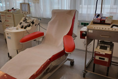 Blut33