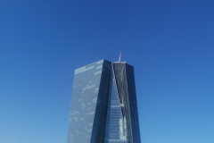 dav