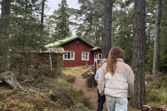 Image-50