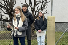 BB754378-586C-4884-838B-D448F3B53CD8_1_105_c