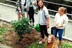 lebensraum_schule_grun_statt_grau1